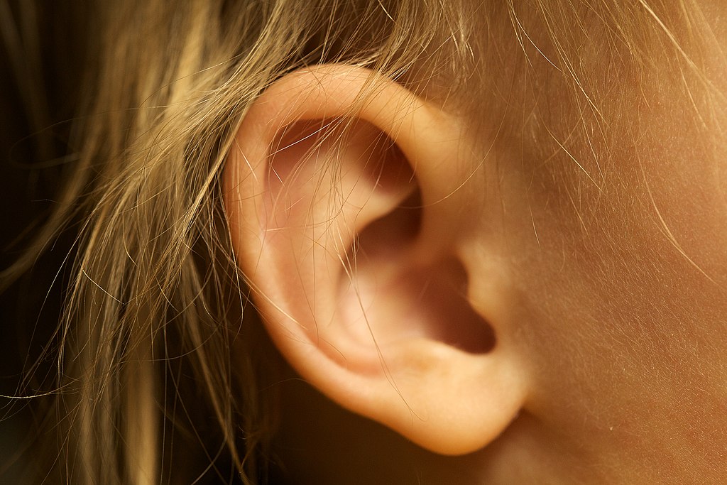 1024px Blond Female Ear